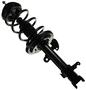 MasterPro Strut And Coil Spring Assembly