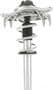 MasterPro Strut And Coil Spring Assembly