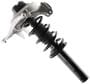 MasterPro Strut And Coil Spring Assembly