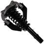 MasterPro Strut And Coil Spring Assembly