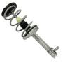 MasterPro Strut And Coil Spring Assembly