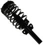 MasterPro Strut And Coil Spring Assembly