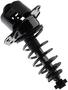 MasterPro Strut And Coil Spring Assembly
