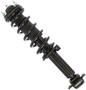 MasterPro Strut And Coil Spring Assembly