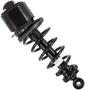 MasterPro Strut And Coil Spring Assembly