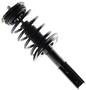 MasterPro Strut And Coil Spring Assembly