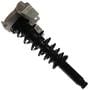 MasterPro Strut And Coil Spring Assembly