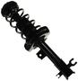 MasterPro Strut And Coil Spring Assembly