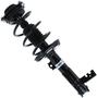 MasterPro Strut And Coil Spring Assembly