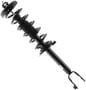 MasterPro Strut And Coil Spring Assembly