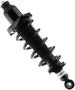 MasterPro Strut And Coil Spring Assembly