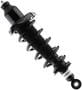 MasterPro Strut And Coil Spring Assembly