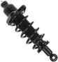 MasterPro Strut And Coil Spring Assembly