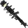 MasterPro Strut And Coil Spring Assembly