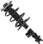 MasterPro Strut And Coil Spring Assembly