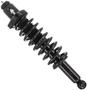 MasterPro Strut And Coil Spring Assembly