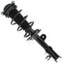 MasterPro Strut And Coil Spring Assembly