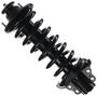 MasterPro Strut And Coil Spring Assembly