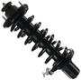 MasterPro Strut And Coil Spring Assembly