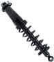 MasterPro Strut And Coil Spring Assembly