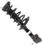 MasterPro Strut And Coil Spring Assembly