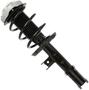MasterPro Strut And Coil Spring Assembly
