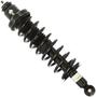 MasterPro Strut And Coil Spring Assembly