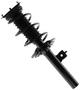 MasterPro Strut And Coil Spring Assembly
