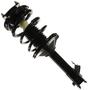 MasterPro Strut And Coil Spring Assembly