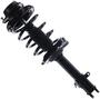 MasterPro Strut And Coil Spring Assembly