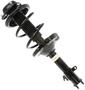 MasterPro Strut And Coil Spring Assembly