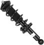 MasterPro Strut And Coil Spring Assembly