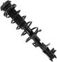 MasterPro Strut And Coil Spring Assembly