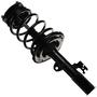 MasterPro Strut And Coil Spring Assembly