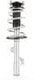 MasterPro Strut And Coil Spring Assembly