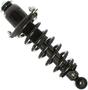 MasterPro Strut And Coil Spring Assembly