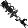MasterPro Strut And Coil Spring Assembly