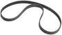MSD Ignition Distributor Belt