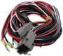 MSD Ignition Ignition Wiring Harness