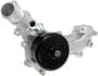 Murray Temperature Control Water Pump