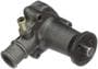 Murray Temperature Control Water Pump - New