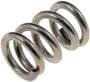Dorman HELP! Exhaust Spring