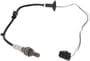 NTK Oxygen Sensor