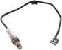 NTK Oxygen Sensor