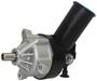 New Advantage Power Steering Pump - New