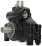 New Advantage Power Steering Pump - New