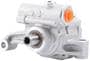 New Advantage Power Steering Pump - New