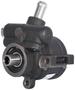 New Advantage Power Steering Pump - New