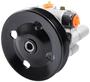 New Advantage Power Steering Pump - New