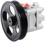 New Advantage Power Steering Pump - New